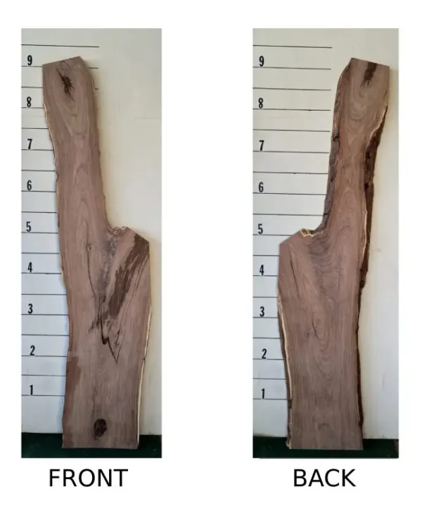 Sculptural Mesquite Wood Slab