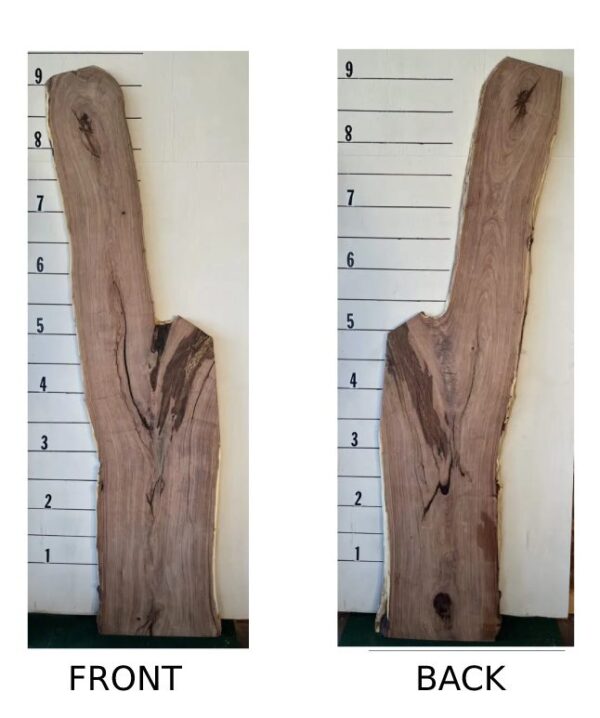 Designer Mesquite Wood Slab