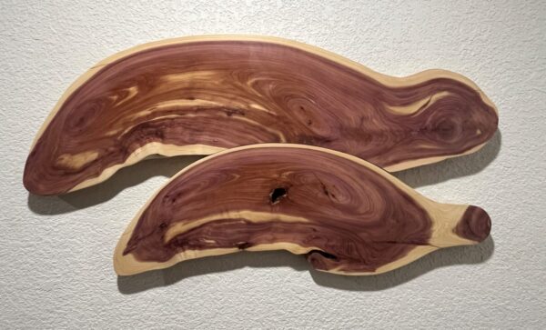 Cedar Live Edge Wall Art